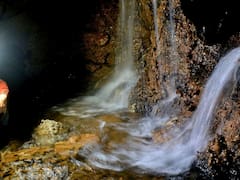 Hallazgo sin precedentes: encontraron una especie gigante jamás vista en los acueductos de España que reescribe la historia