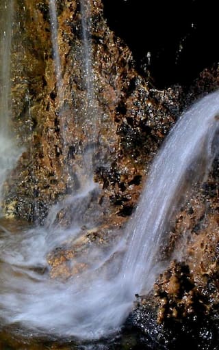 Revelación histórica: encontraron una especie gigante jamás vista en los acueductos de un país europeo que reescribe la historia