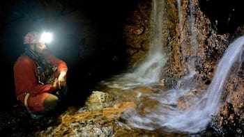 Hallazgo sin precedentes: encontraron una especie gigante jamás vista en los acueductos de España que reescribe la historia