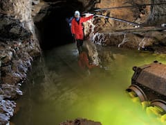 Hallazgo único: encontraron una enorme especie jamás vista de hace 100 millones de años en una cueva de España