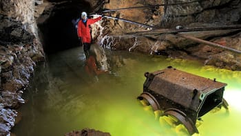 Hallazgo único: encontraron una enorme especie jamás vista de hace 100 millones de años en una cueva de España