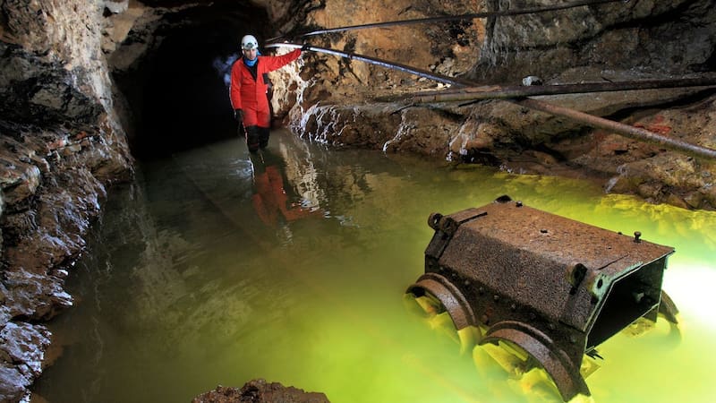 Hallazgo único: encontraron una enorme especie jamás vista de hace 100 millones de años en una cueva de España. Foto: Cueva El Soplao