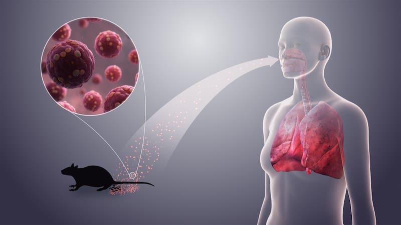 Las muestras extraviadas incluían hantavirus, Hendra y Lyssavirus, todos potencialmente letales para humanos (Fuente: Scientificanimations.com / Wikimedia Commons)
