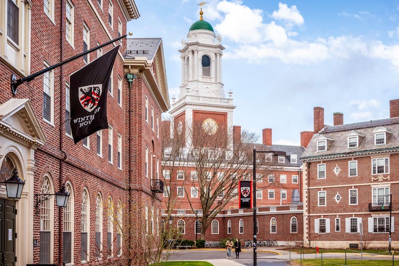 Creció rodeada de drogas, perdió su hogar y consiguió ingresar a Harvard: la historia real que conmovió a Estados Unidos