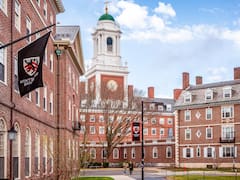 El curso corto de Harvard que dura 8 semanas, se dicta gratis por internet y prepara para un trabajo cada vez más buscado