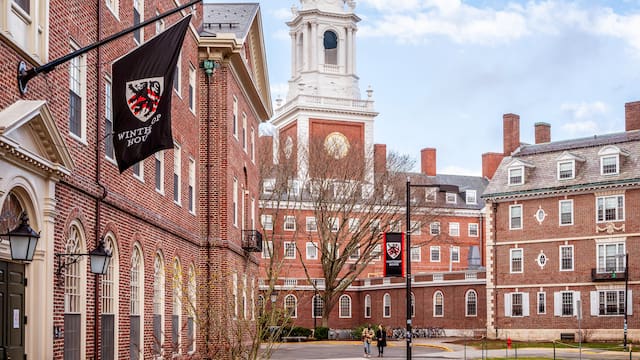 El curso corto de Harvard que dura 8 semanas, se dicta gratis por internet y prepara para un trabajo cada vez más buscado