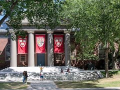 El curso corto de Harvard de 5 semanas que es gratis, online y entrega certificado: enseña a programar desde cero y es considerado uno de los mejores del mundo
