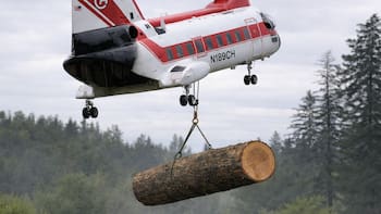 Imágenes impactantes: lanzan más de 6.000 troncos desde helicópteros en ríos de Estados Unidos para cumplir la misión más importante