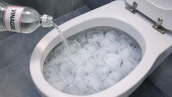Colocar cubos de hielo con vinagre dentro del inodoro: para qué sirve y por qué es recomendado