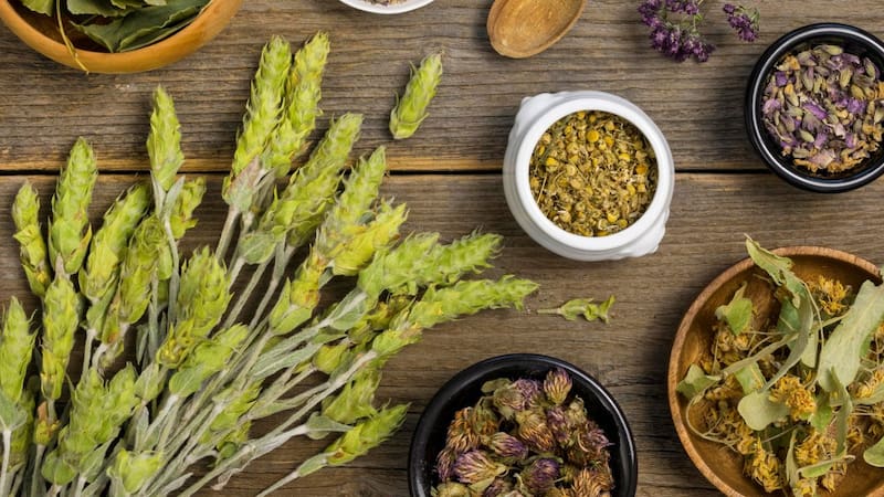 La hierba aromática con vitamina A y antioxidantes que alivia el dolor de estómago y mejora la concentración