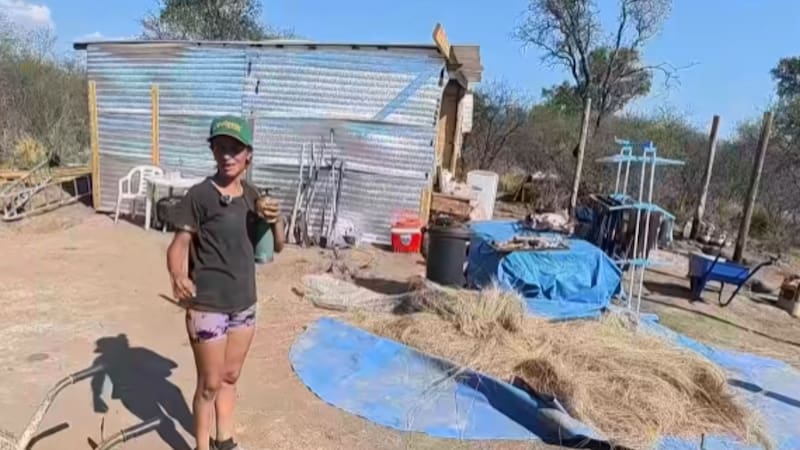 Estar instalados en pleno monte exige una reorganización completa de las rutinas diarias y una constante adaptación a las condiciones del terreno.
