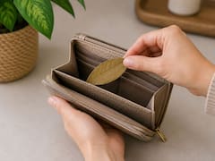 Qué significa guardar una hoja de canela en la billetera y por qué se volvió una costumbre popular
