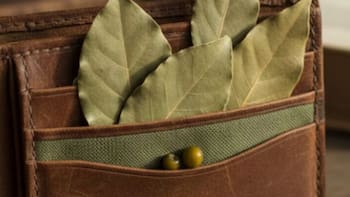 Poner una hoja de laurel dentro de la billetera: para qué sirve y por qué recomiendan hacerlo
