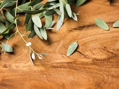 Mezclar hojas de romero con eucalipto: para qué sirve y por qué lo recomiendan expertos