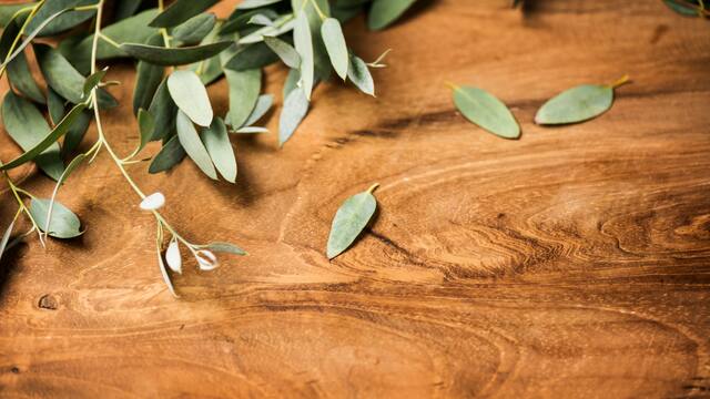 Mezclar hojas de romero con eucalipto: para qué sirve y por qué lo recomiendan expertos