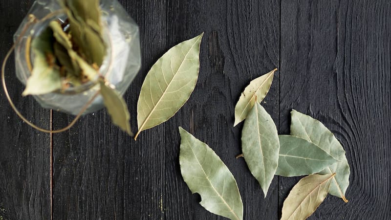 Ritual con hojas de laurel