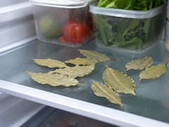 Colocar hojas de laurel en la heladera: para qué sirve y por qué lo recomiendan
