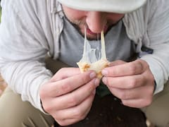 Largas filas en Lidl por el electrodoméstico que solucionará todas tus comidas: cuesta menos de 10 euros