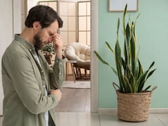 La Ley de Alquileres lo confirma | El dueño de una vivienda puede sufrir fuertes multas si no cumple con un requisito obligatorio con el inquilino