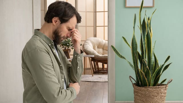 La Ley de Alquileres lo confirma | El dueño de una vivienda puede sufrir fuertes multas si no cumple con un requisito obligatorio con el inquilino