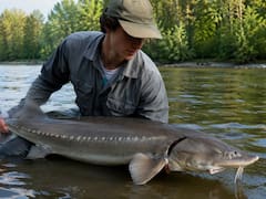 He was fishing for sea bass and ended up catching a prehistoric dinosaur