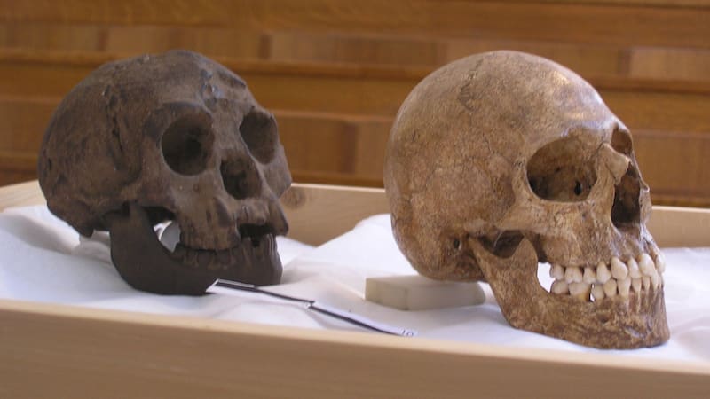 La desaparición de los hobbits está relacionada con sequías que los llevaron a encuentros con los humanos modernos (Fuente: archivo).