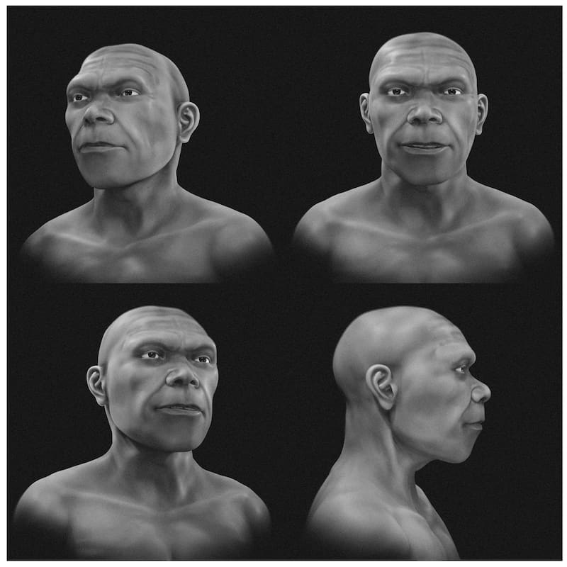 New study in ‘Heritage’ uses composite fossils and CT-based modeling to approximate a 315,000-year-old human face.