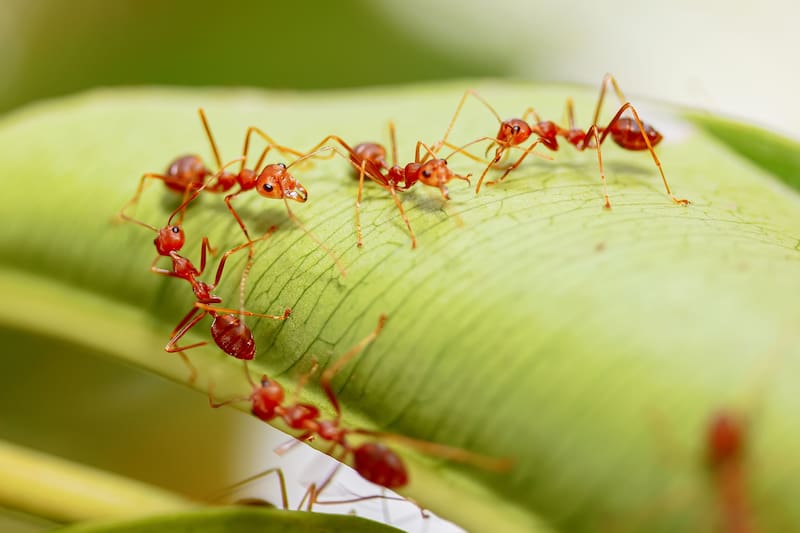 <div class="migrated-promo-image__description"><div class="migrated-promo-image__source">Fuente: Shutterstock</div></div>