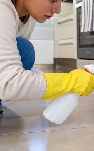 Ni ácido ni bicarbonato: la mejor forma de eliminar las hormigas coloradas plaga de la cocina, el comedor y el jardín