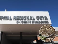 Un adolescente de 15 años buscaba resguardar a su ganado de las inundaciones en Corrientes y lo picó una serpiente: está grave