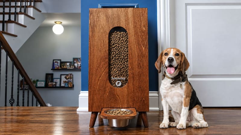 They launched a dog feeder side hustle with less than $20,000 after a viral TikTok, and now it’s on track for $15 million.
