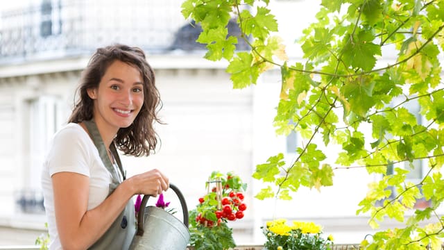 Colchón de ajo y algodón en plantas arbustos: para que sirve y porqué lo recomiendan