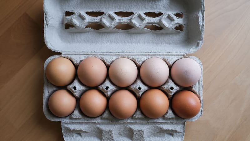 Huevo blanco o huevo de color: cuál es la diferencia y cuál conviene comprar