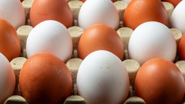 Adiós mito del colesterol: esto le pasa a tu cuerpo si comes huevo todos los días, según expertos