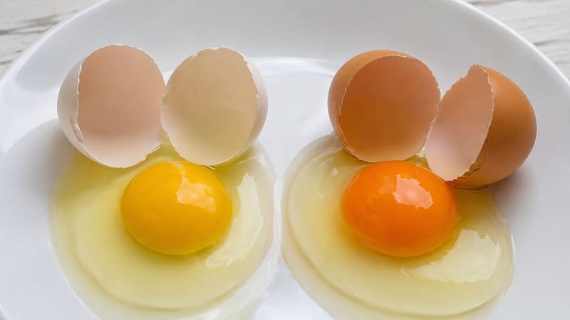 Muchos consumidores creen que la yema naranja es más saludable, pero no siempre es así.