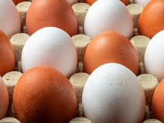 Forrar los huevos con papel film: para qué sirve y por qué es mejor que el aluminio