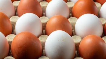 Forrar los huevos con papel film: para qué sirve y por qué es mejor que el aluminio
