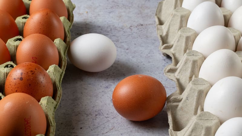 El huevo es un alimento rico en proteínas y muy versátil.