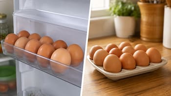 Guardar los huevos en la heladera o dejarlos afuera: cuál es la forma correcta y por qué lo recomiendan los expertos