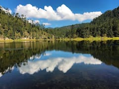 Unilever se suma al pago por conservar 552 hectáreas de bosque en Morelos