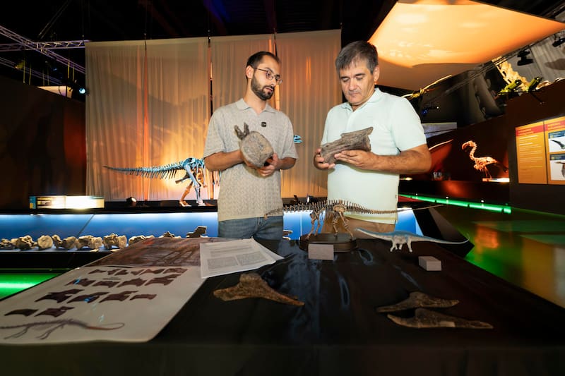 Paleontólogos de la Fundación Conjunto Paleontológico de Teruel-Dinópolis han identificado fósiles de diplodocus, un dinosaurio que hasta ahora solo se había encontrado en Norteamérica.