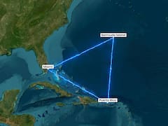 Descubren misteriosos seres vivientes en el Triángulo de las Bermudas | Así son las criaturas que habitan un enigmático lugar en medio del Atlántico