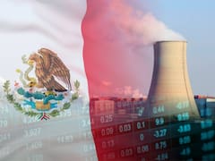 México tiene una única central nuclear: sus dos reactores están en Veracruz y generan el 8,9% de la energía de CFE