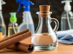 ¿Para qué sirve la canela mezclada con vinagre blanco? La combinación multiusos de ahorro en casa
