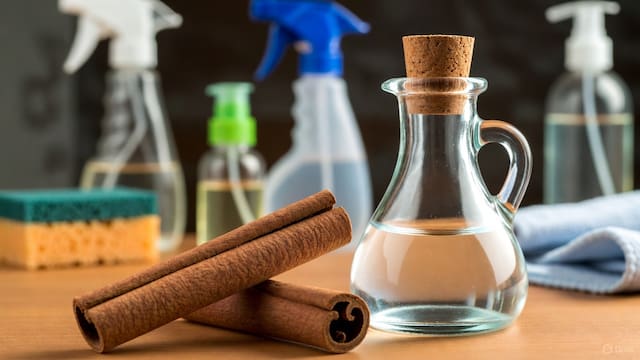 ¿Para qué sirve la canela mezclada con vinagre blanco? La combinación multiusos de ahorro en casa