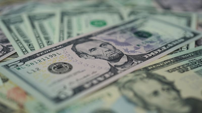 La cotización actual del dólar en Argentina (foto: Pixabay).