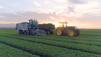 México ‘se cura en salud’ y enfatiza que lechuga exportada a EEUU no está contaminada por ‘Cyclospora’