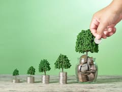 Vuela el plazo fijo: qué banco tiene mejor tasa de interés este miércoles 28 de enero