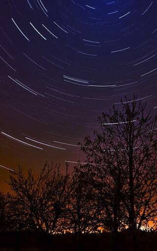 Horóscopo para Aries: la predicción de los astros para este domingo 18 de enero