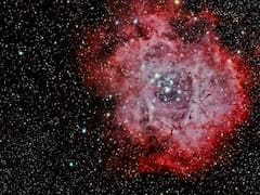 Horóscopo para Aries: la predicción de los astros para este viernes 13 de marzo